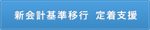 新会計基準移行 定着支援